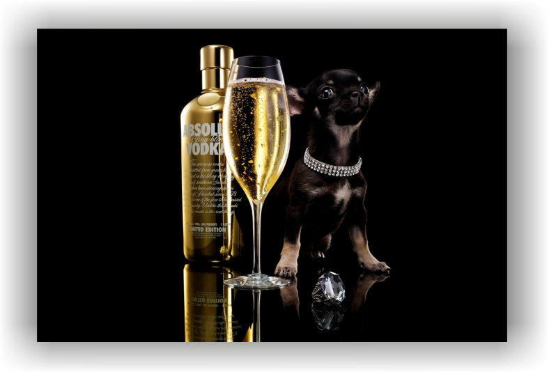 tablou bar & club - puppie vodka